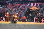 Cavalry - 00174